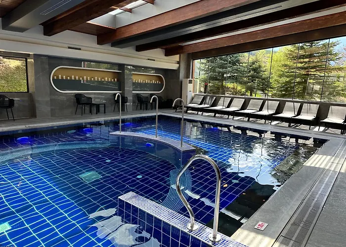 St Ivan Rilski & Pool Getaway 公寓 班斯科